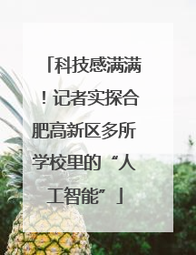 科技感满满！记者实探合肥高新区多所学校里的“人工智能”