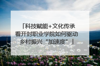 科技赋能+文化传承 看开封职业学院如何驱动乡村振兴“加速度”