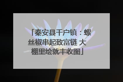 秦安县千户镇：螺丝椒串起致富链 大棚里绘就丰收图