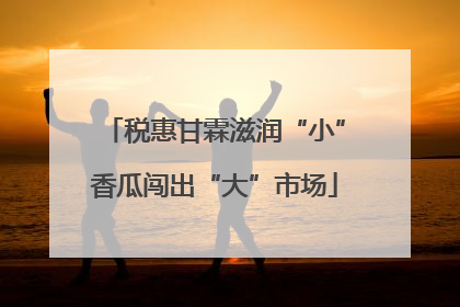 税惠甘霖滋润“小”香瓜闯出“大”市场