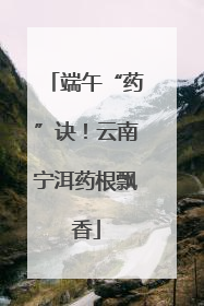 端午“药”诀！云南宁洱药根飘香