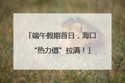 端午假期首日，海口“热力值”拉满！