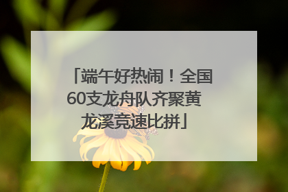 端午好热闹！全国60支龙舟队齐聚黄龙溪竞速比拼