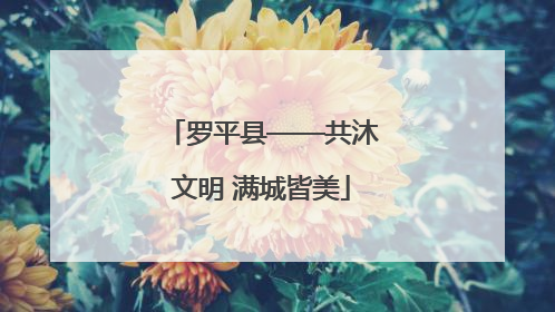 罗平县——共沐文明 满城皆美
