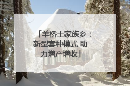 羊桥土家族乡：新型套种模式 助力增产增收