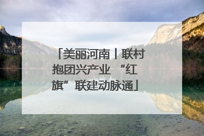 美丽河南丨联村抱团兴产业 “红旗”联建动脉通