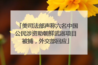 美司法部声称六名中国公民涉资助朝鲜武器项目被捕，外交部回应