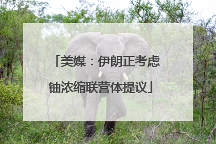 美媒：伊朗正考虑铀浓缩联营体提议
