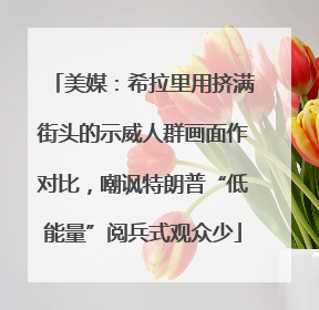 美媒：希拉里用挤满街头的示威人群画面作对比，嘲讽特朗普“低能量”阅兵式观众少