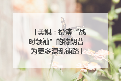 美媒：扮演“战时领袖”的特朗普为更多混乱铺路