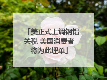 美正式上调钢铝关税 美国消费者将为此埋单