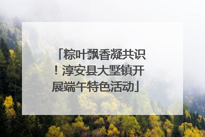 粽叶飘香凝共识！淳安县大墅镇开展端午特色活动