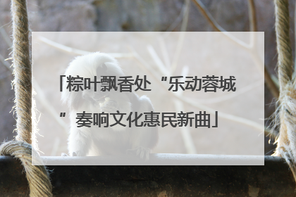 粽叶飘香处“乐动蓉城”奏响文化惠民新曲