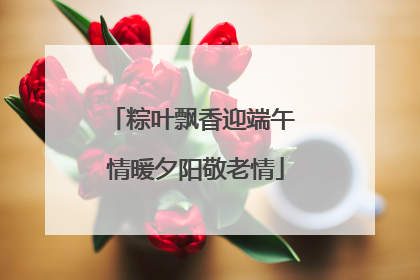 粽叶飘香迎端午 情暖夕阳敬老情