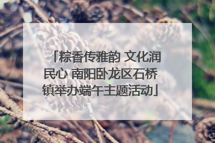 粽香传雅韵 文化润民心 南阳卧龙区石桥镇举办端午主题活动