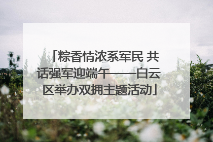 粽香情浓系军民 共话强军迎端午——白云区举办双拥主题活动