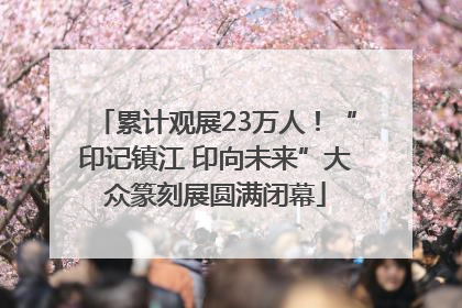 累计观展23万人！“印记镇江 印向未来”大众篆刻展圆满闭幕
