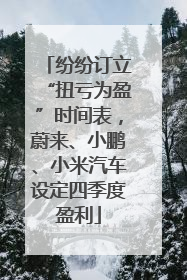 纷纷订立“扭亏为盈”时间表，蔚来、小鹏、小米汽车设定四季度盈利
