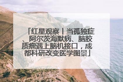 红星观察丨当孤独症、阿尔茨海默病、脑胶质瘤遇上脑机接口，成都科研改变医学图景