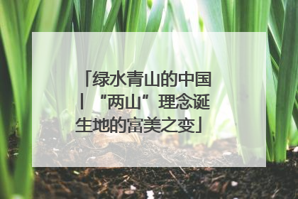 绿水青山的中国丨“两山”理念诞生地的富美之变