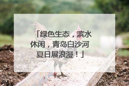 绿色生态，滨水休闲，青岛白沙河夏日展浪漫！