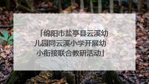 绵阳市盐亭县云溪幼儿园同云溪小学开展幼小衔接联合教研活动