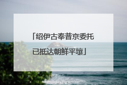 绍伊古奉普京委托已抵达朝鲜平壤