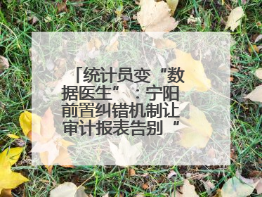 统计员变“数据医生”：宁阳前置纠错机制让审计报表告别“带病上岗”