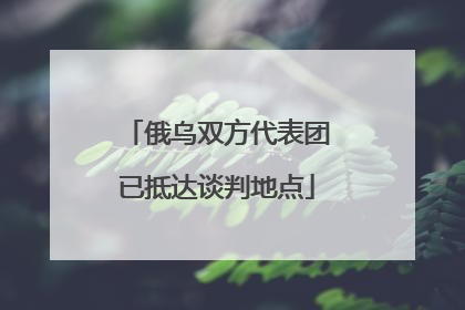 俄乌双方代表团已抵达谈判地点