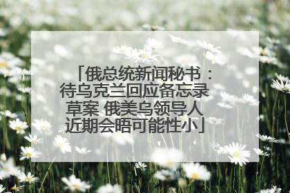 俄总统新闻秘书：待乌克兰回应备忘录草案 俄美乌领导人近期会晤可能性小