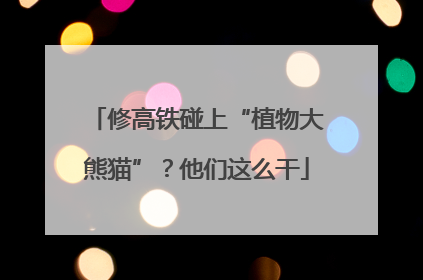 修高铁碰上“植物大熊猫”？他们这么干