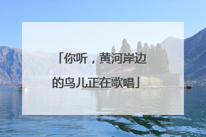 你听，黄河岸边的鸟儿正在歌唱