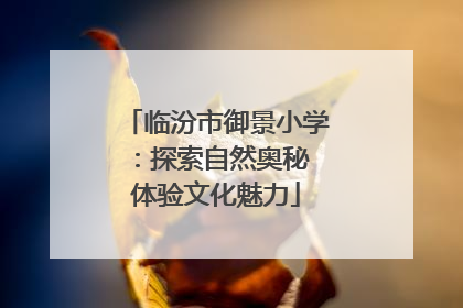 临汾市御景小学：探索自然奥秘 体验文化魅力