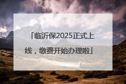 临沂保2025正式上线，缴费开始办理啦