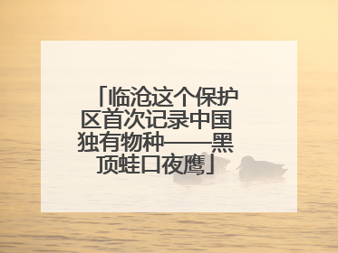 临沧这个保护区首次记录中国独有物种——黑顶蛙口夜鹰