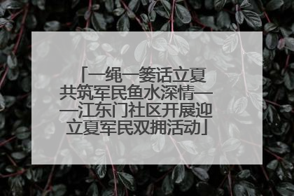 一绳一篓话立夏 共筑军民鱼水深情——江东门社区开展迎立夏军民双拥活动