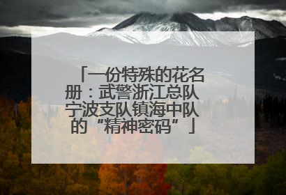 一份特殊的花名册：武警浙江总队宁波支队镇海中队的“精神密码”