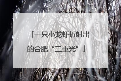 一只小龙虾折射出的合肥“三重光”