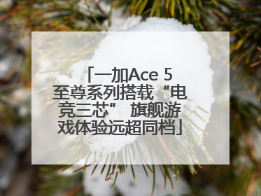 一加Ace 5至尊系列搭载“电竞三芯” 旗舰游戏体验远超同档