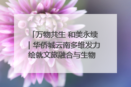 万物共生 和美永续｜华侨城云南多维发力 绘就文旅融合与生物多样性保护新图景