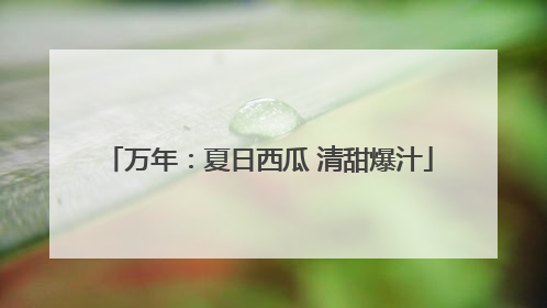 万年：夏日西瓜 清甜爆汁
