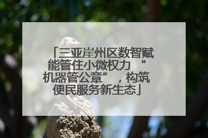 三亚崖州区数智赋能管住小微权力 “机器管公章”，构筑便民服务新生态