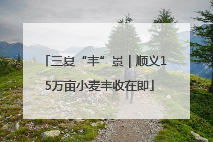三夏“丰”景｜顺义15万亩小麦丰收在即