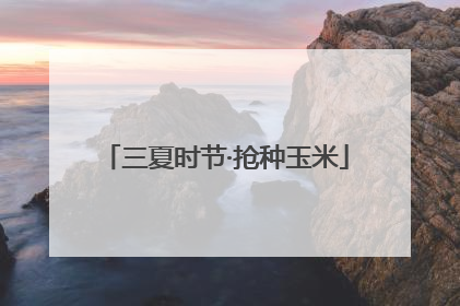 三夏时节·抢种玉米