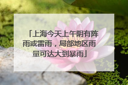 上海今天上午阴有阵雨或雷雨，局部地区雨量可达大到暴雨