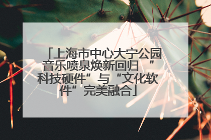 上海市中心大宁公园音乐喷泉焕新回归 “科技硬件”与“文化软件”完美融合