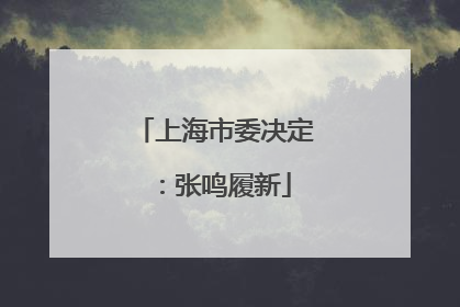 上海市委决定：张鸣履新
