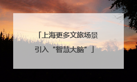 上海更多文旅场景引入“智慧大脑”