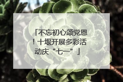 不忘初心颂党恩！十堰开展多彩活动庆“七一”