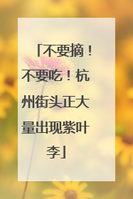 不要摘！不要吃！杭州街头正大量出现紫叶李